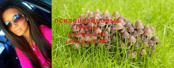мескалин Абаза